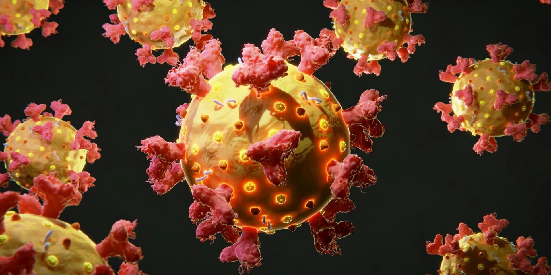 Advancements in Cancer Research: A Breakthrough in Immunotherapy