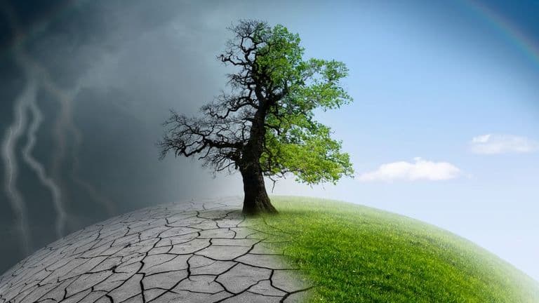 Global Efforts to Combat Climate Change: Key Initiatives and Progress