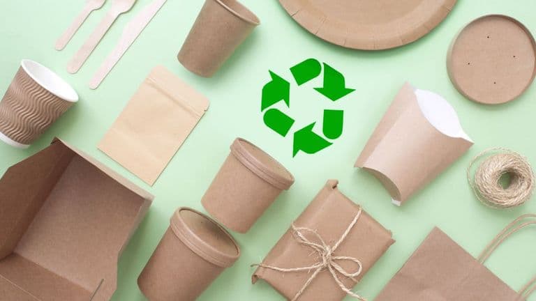 The Rise of Biodegradable Packaging: A Solution to Plastic Pollution