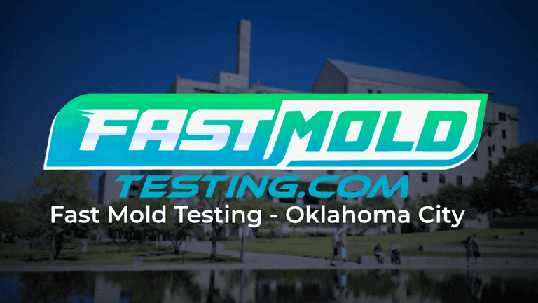Fast mold testing best mold inspection & testing company in oklahoma city of 2026