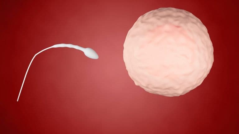 Revolutionizing Male Fertility: Breakthrough in Non-Invasive Biomarkers for Sperm Retrieval