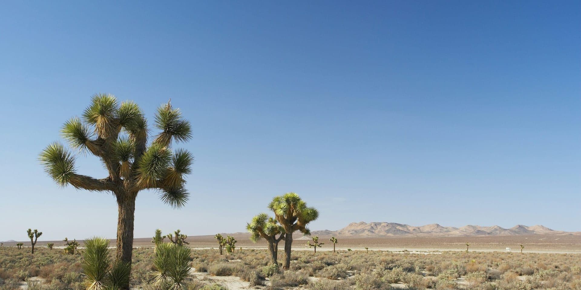 Nevada Faces Record Heat Wave Amid Climate Concerns