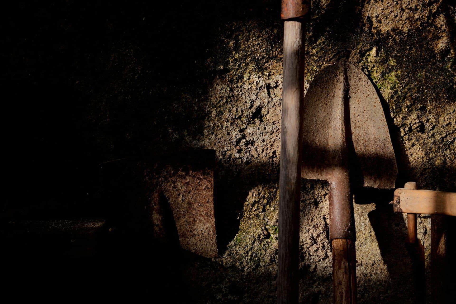 Behind the Scenes of Extracted: Megan Hine Reveals Secrets of the Brutal Survival Show