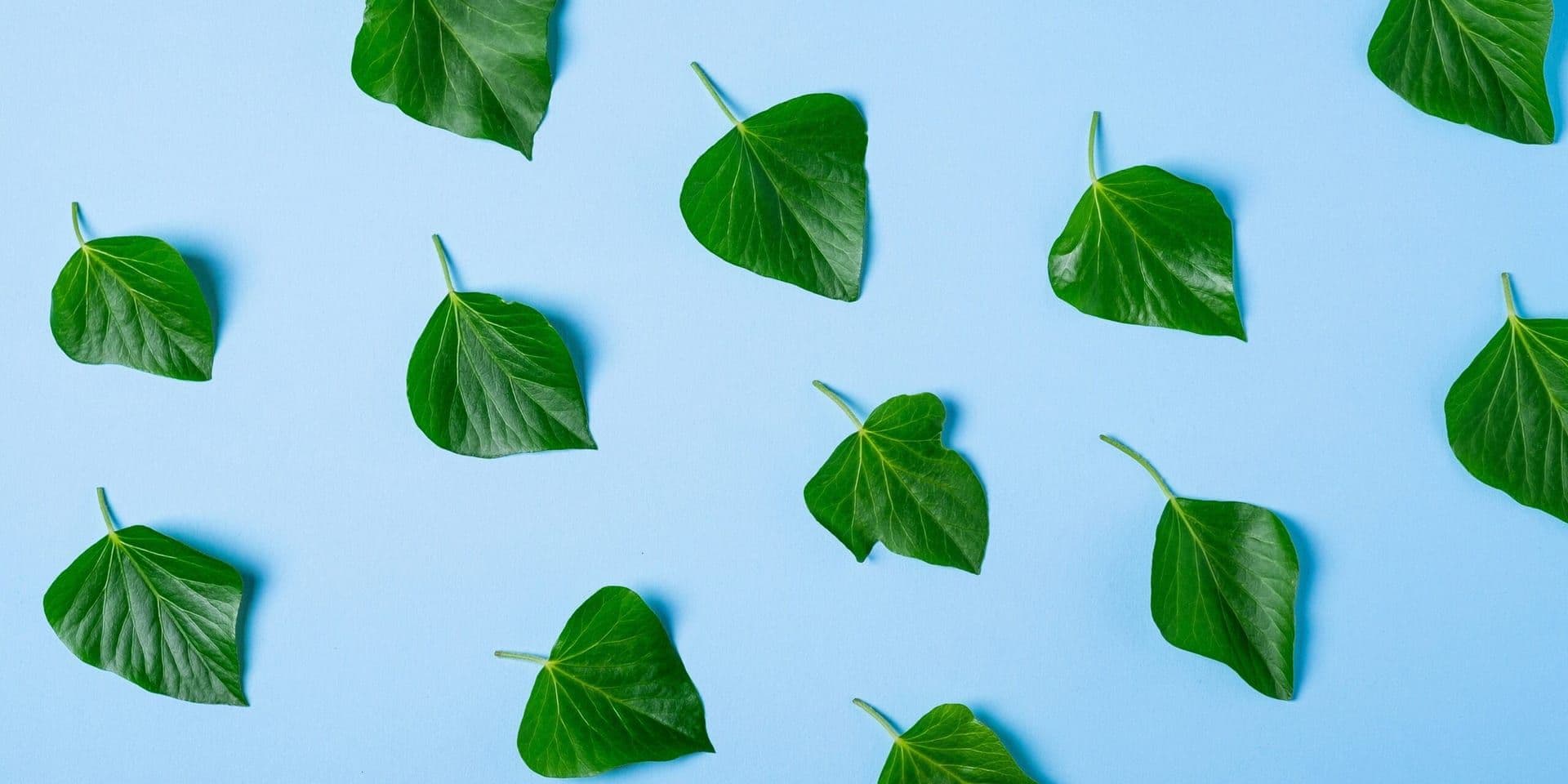 Rise of Green Tech – A New Era for Sustainable Innovation