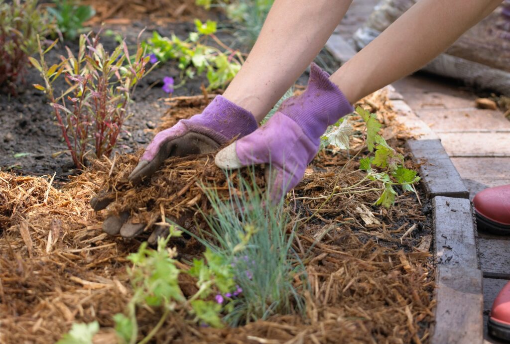 Essential garden tasks to tackle before summer arrives
