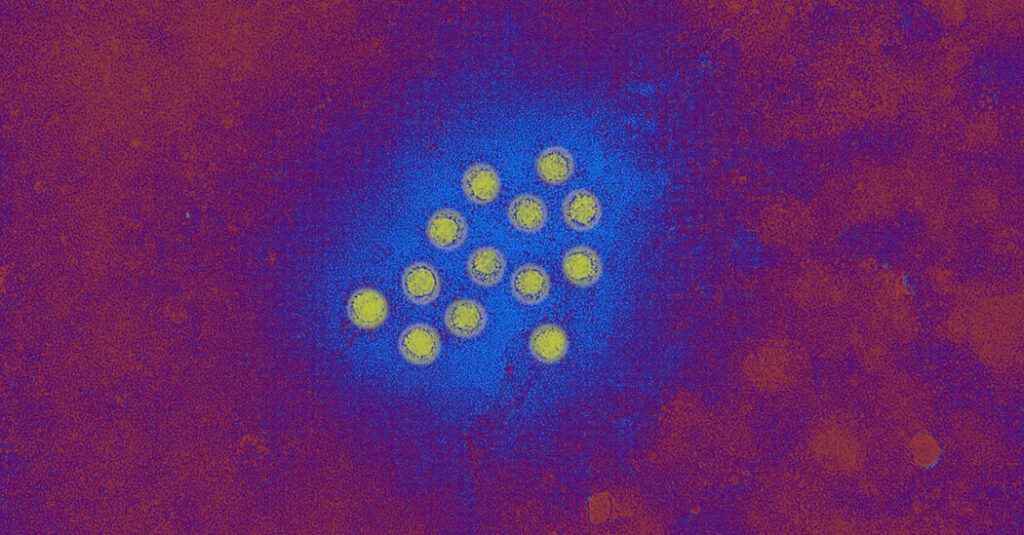 Understanding the hepatitis a situation in l.a. county