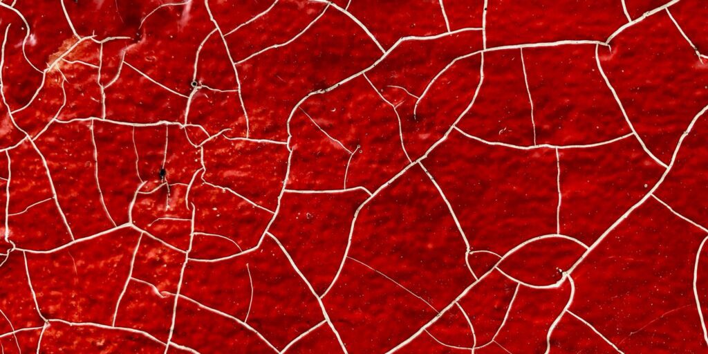 Header image (18)