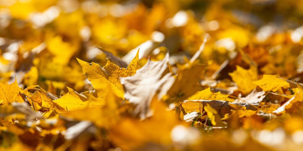Jon sailer 0jqw7cu ftc unsplash