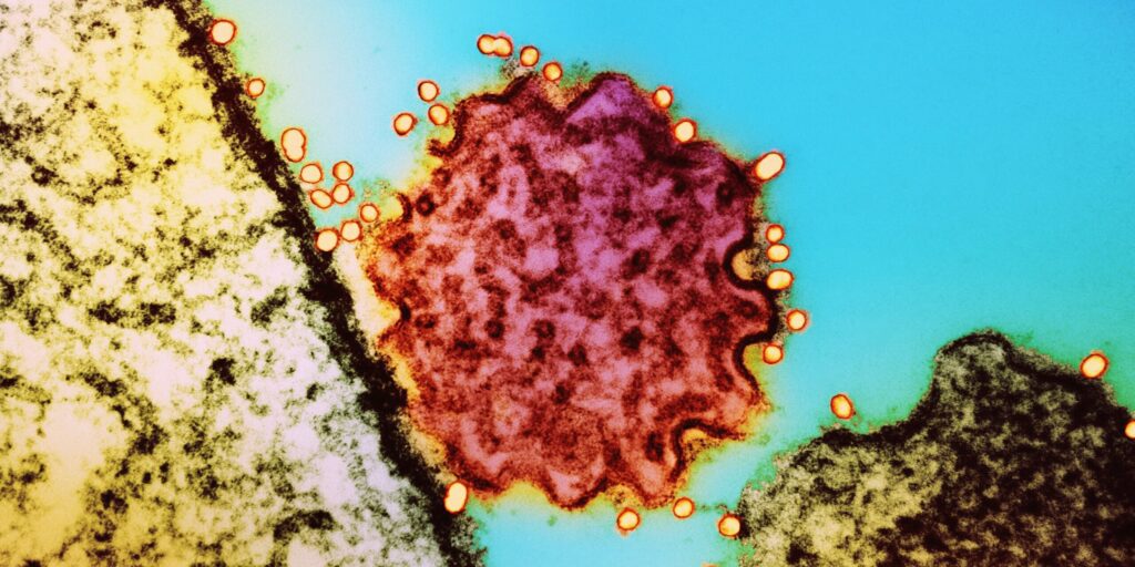 Researchers Discover Dormant Viral-DNA Defence Mechanism in Bacteria—Potential New Antiviral Path