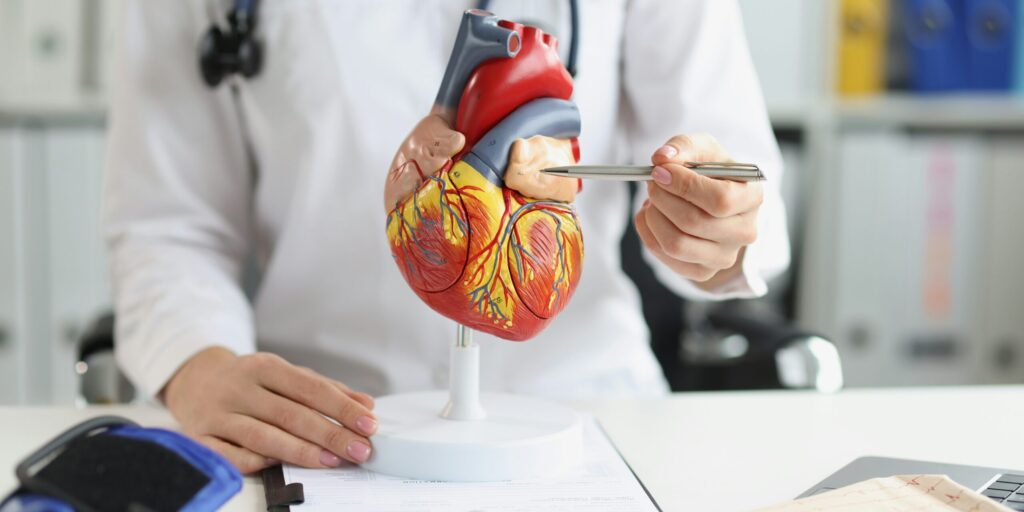 New Study Reveals How Kidney Damage Directly Harms Heart Function