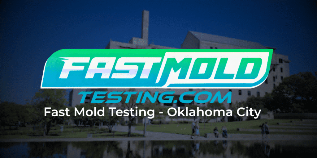 Fast mold testing best mold inspection & testing company in oklahoma city of 2026